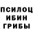 Псилоцибиновые грибы ЛСД Timur Gimadiev