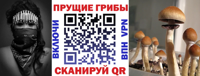 Галлюциногенные грибы ЛСД  Купить закладки  Ленинск 